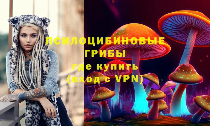 Галлюциногенные грибы MAGIC MUSHROOMS  купить   Электросталь 